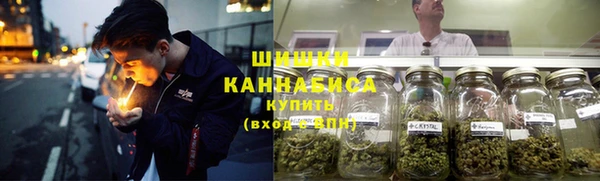 гашик Белоозёрский