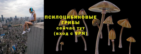 Альфа ПВП Богородицк