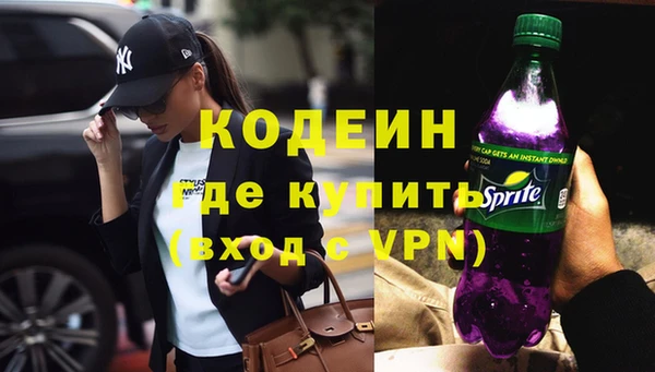 ГАЛЛЮЦИНОГЕННЫЕ ГРИБЫ Богданович
